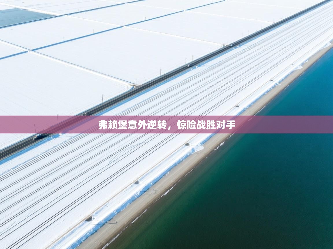 弗赖堡意外逆转，惊险战胜对手  第1张