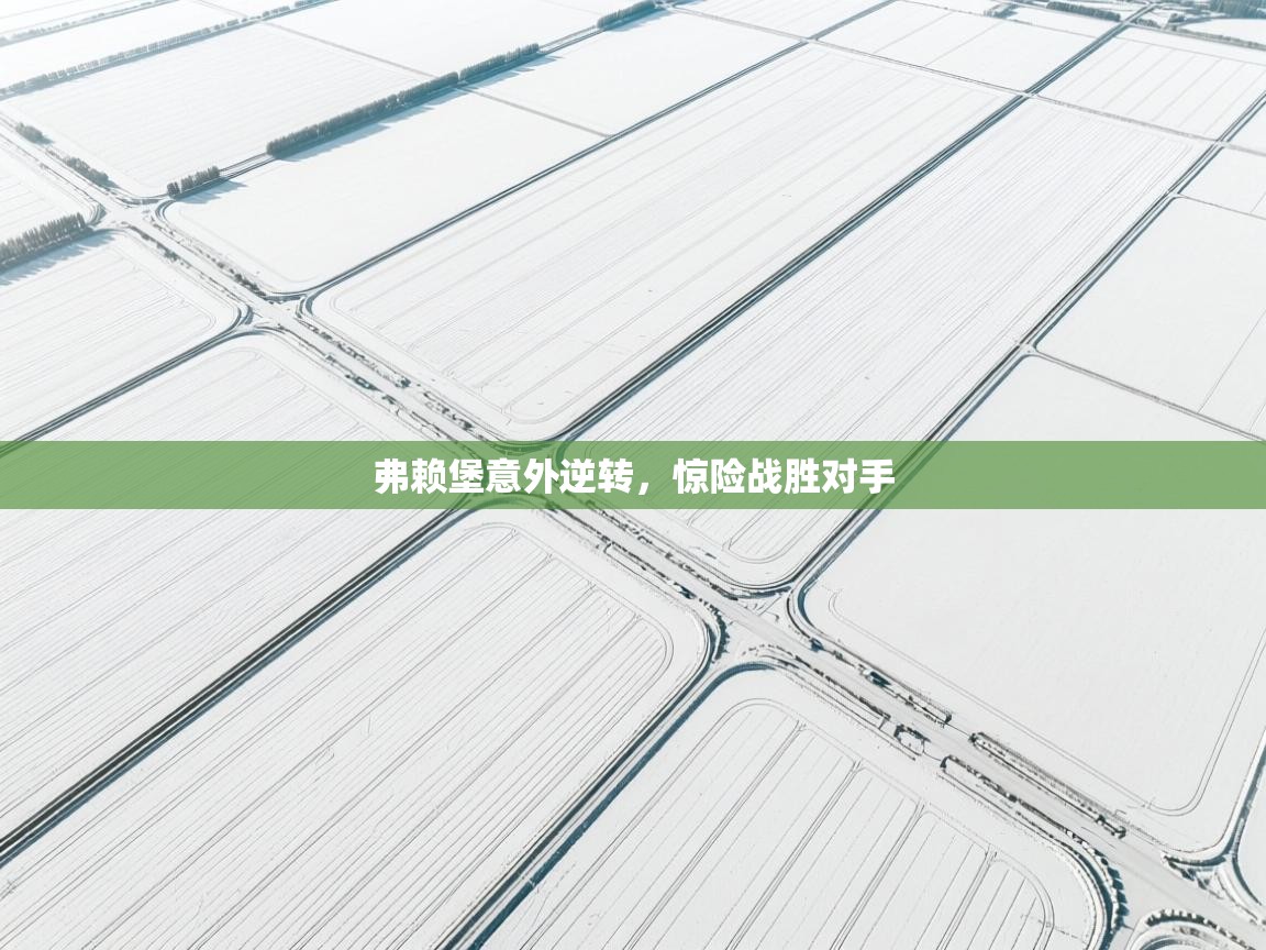 弗赖堡意外逆转，惊险战胜对手  第2张