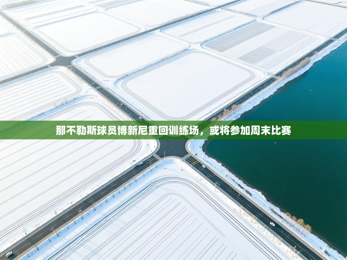 那不勒斯球员博新尼重回训练场，或将参加周末比赛  第1张