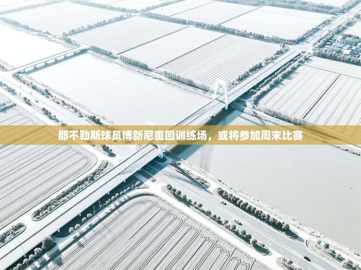 那不勒斯球员博新尼重回训练场，或将参加周末比赛  第2张