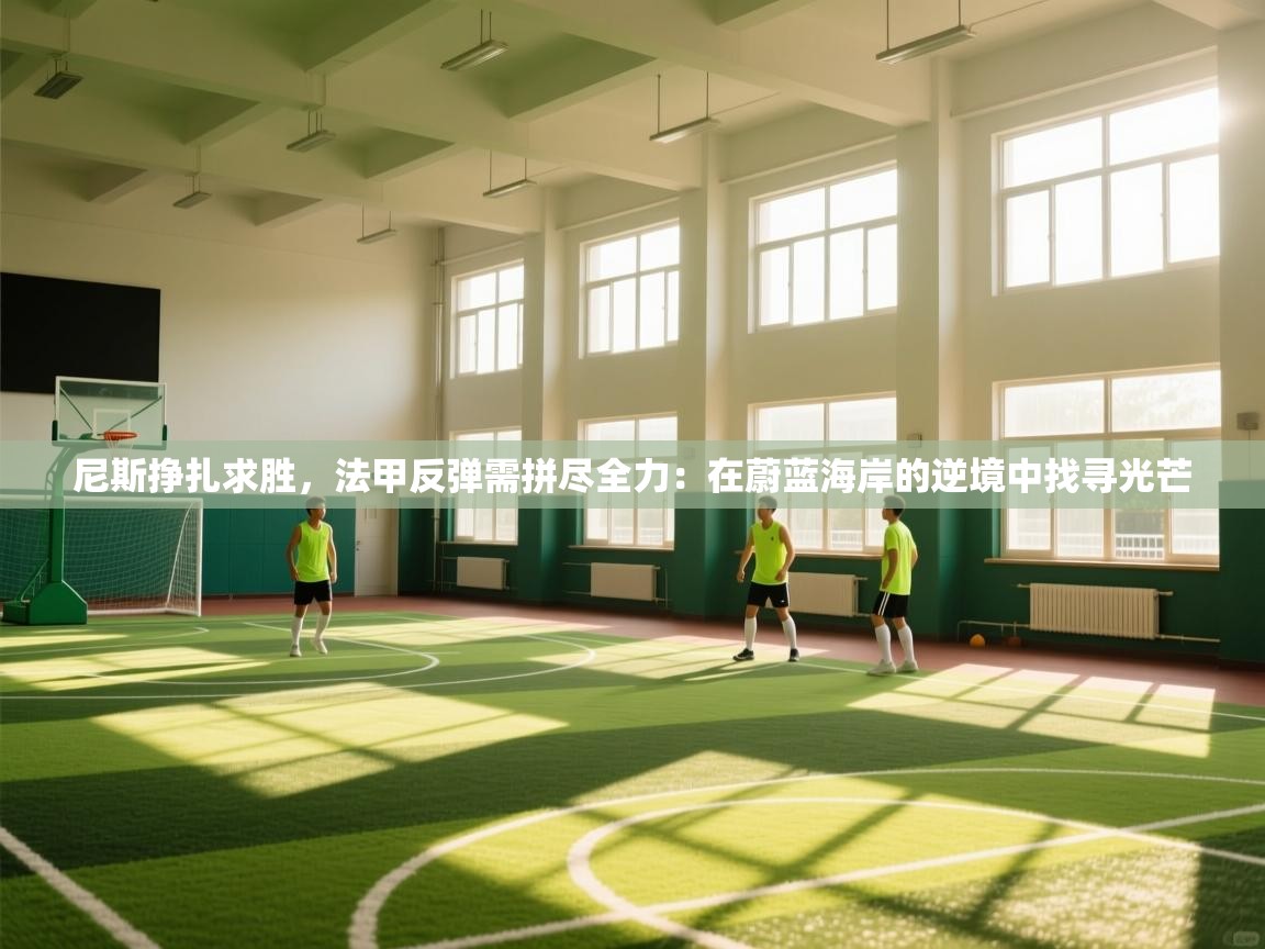 尼斯挣扎求胜，法甲反弹需拼尽全力：在蔚蓝海岸的逆境中找寻光芒  第1张