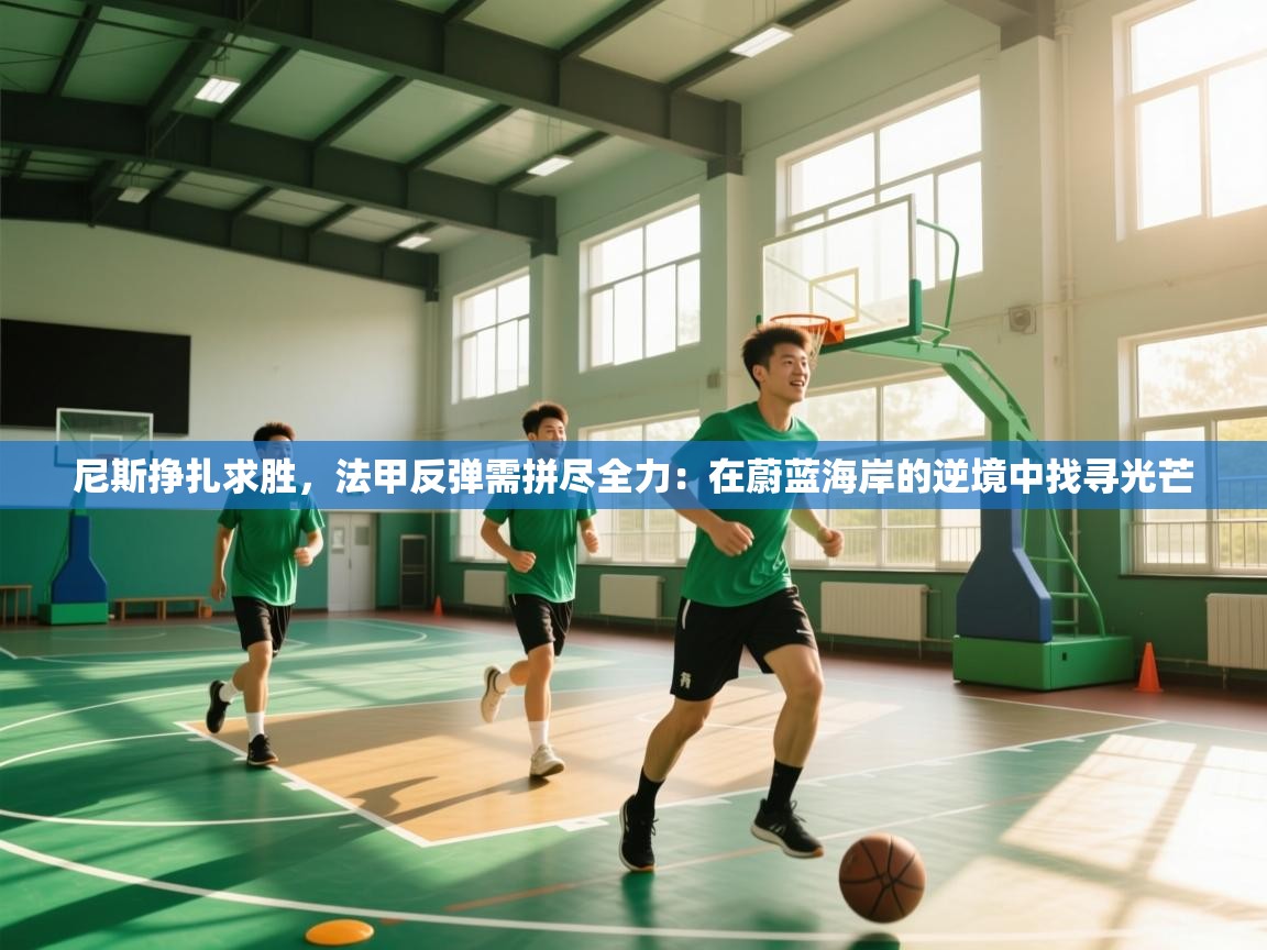 尼斯挣扎求胜，法甲反弹需拼尽全力：在蔚蓝海岸的逆境中找寻光芒  第2张