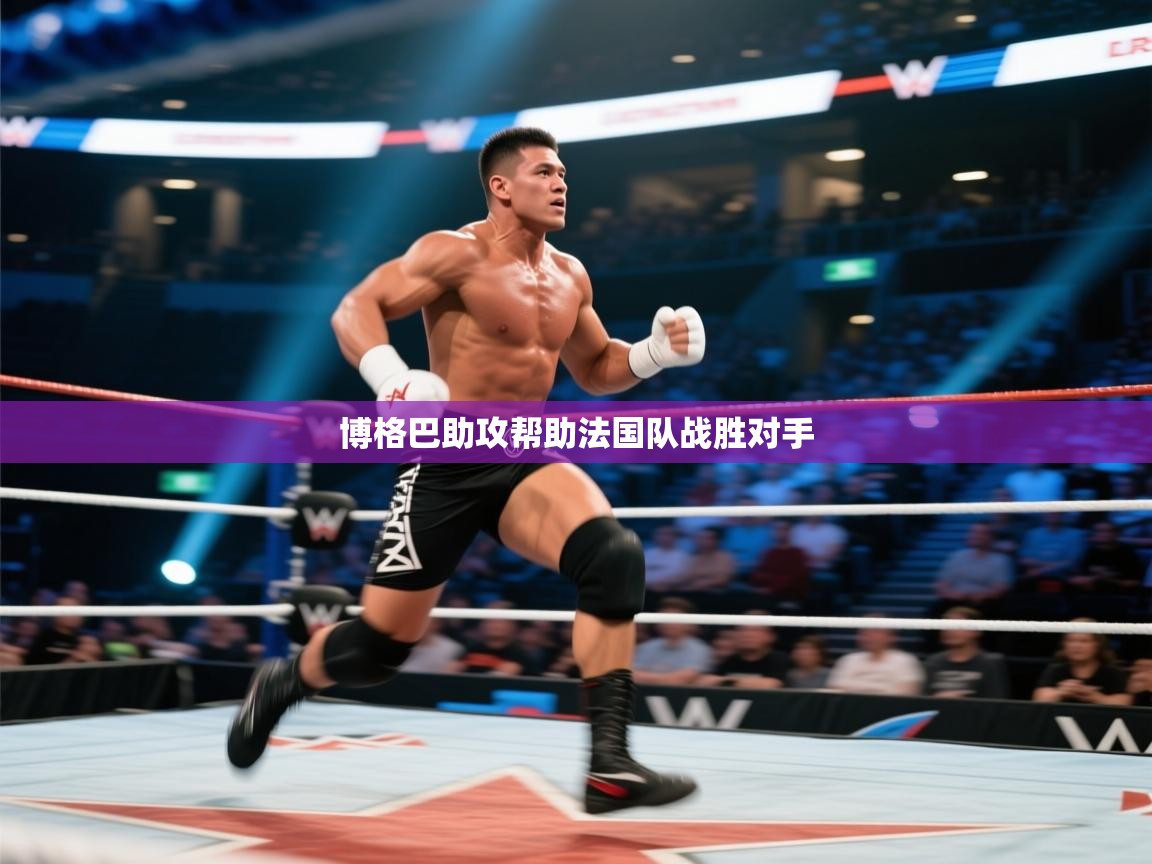 博格巴助攻帮助法国队战胜对手  第2张