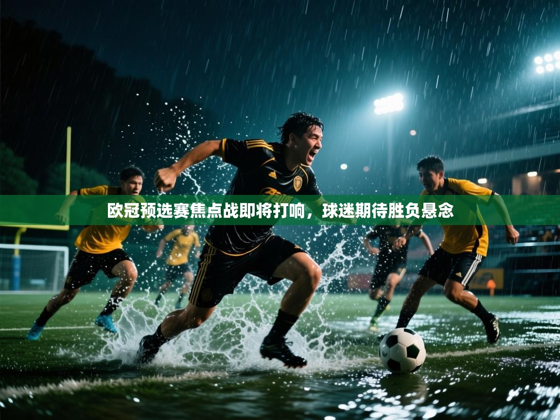 欧冠预选赛焦点战即将打响,球迷期待胜负悬念 第2张