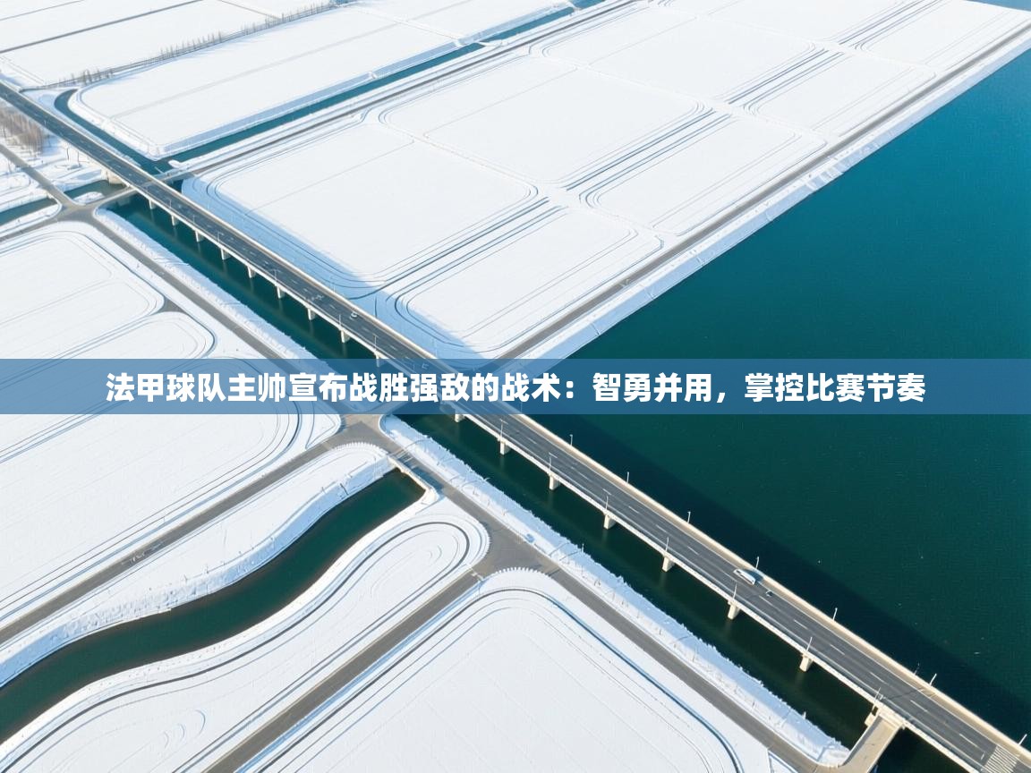 法甲球队主帅宣布战胜强敌的战术：智勇并用，掌控比赛节奏  第1张