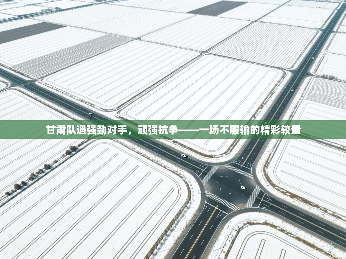 甘肃队遇强劲对手,顽强抗争——一场不服输的精彩较量 第1张