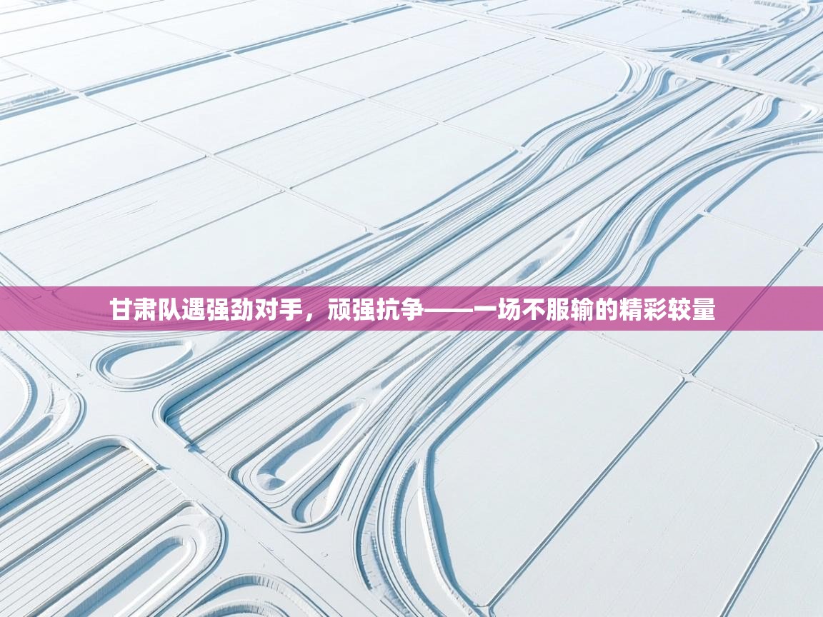 甘肃队遇强劲对手,顽强抗争——一场不服输的精彩较量 第2张