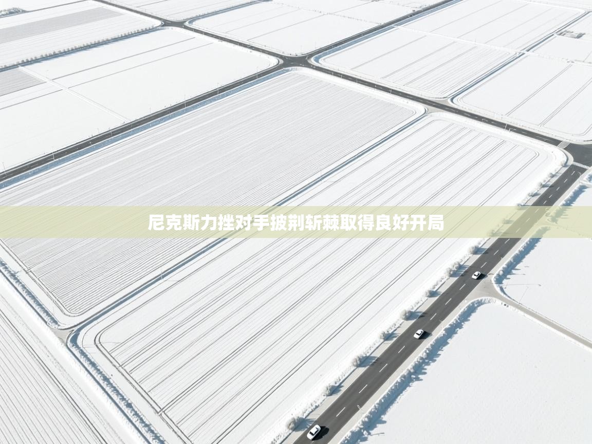 尼克斯力挫对手披荆斩棘取得良好开局 第1张