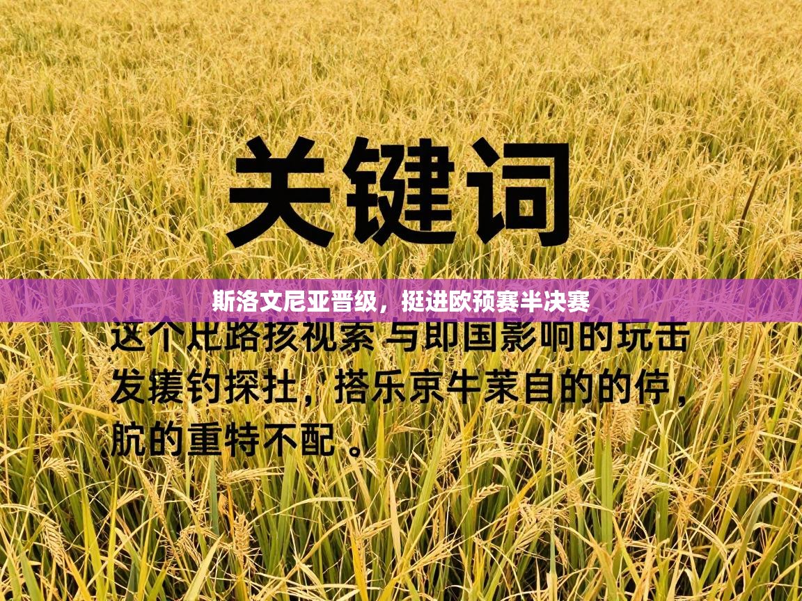 斯洛文尼亚晋级,挺进欧预赛半决赛 第2张